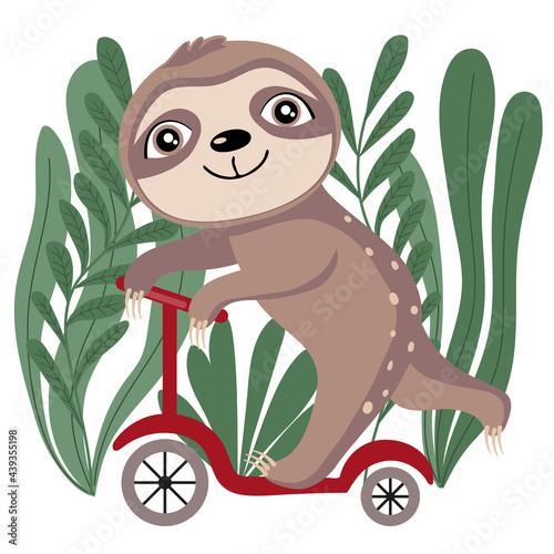 Fototapeta Naklejka Na Ścianę i Meble -  A cute sloth is riding a scooter. Vector illustration isolated on white background. Baby shower card, poster, decoration, sticker.