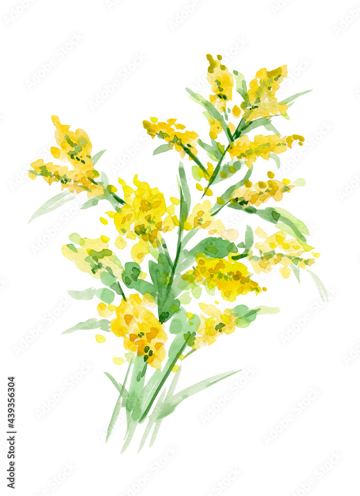 quick simple sketch of spring yellow flowers. watercolor painting