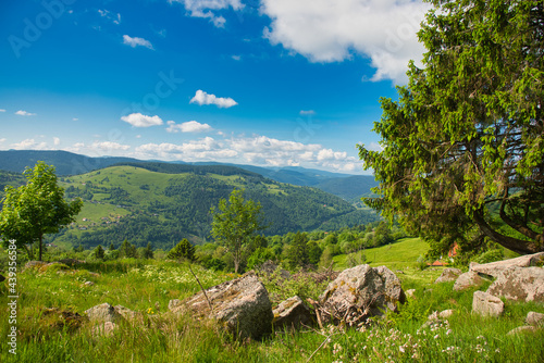 In den H  hen von La Bresse in den Vogessen