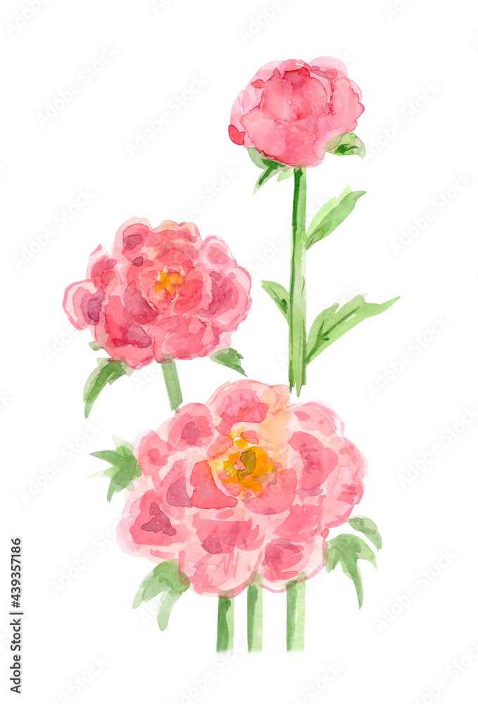 simple sketch of pink flowers. watercolor painting