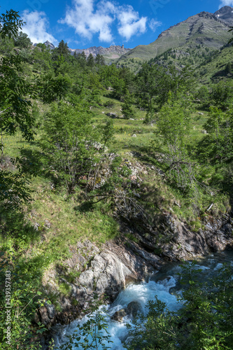 Torrent  et cascade du Parc National des Ecrins en été , Hautes-Alpes , France © jeanmichel deborde