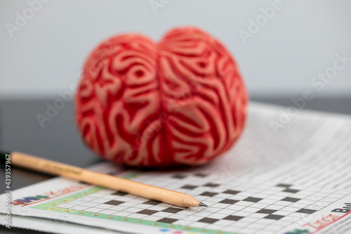 Alzheimer and brain training concept, Brain and crossword Puzzle with pencil	 photo