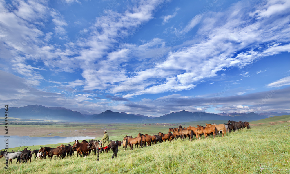 Fototapeta premium Horses, Mountain Landscape, Gansu, China