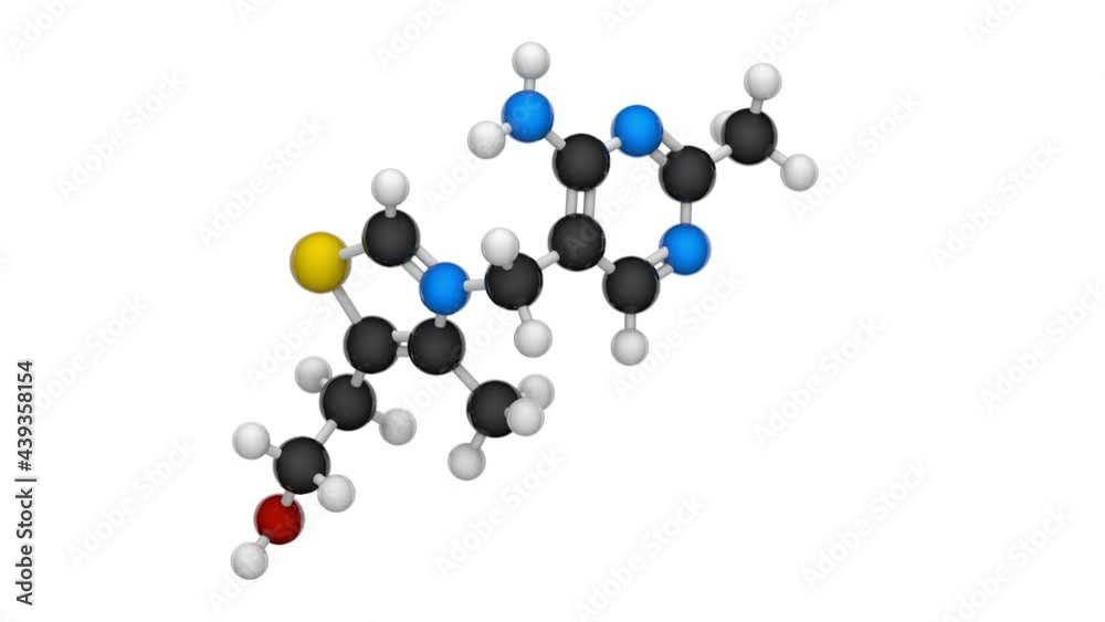 Vitamin B1(Thiamine or aneurine). 3D render. Seamless loop. Chemical structure model: Ball and Stick. White background. Vitamin B1(Thiamine or aneurine). 3D render. Seamless loop. Chemical structure model: Ball and Stick. White background.