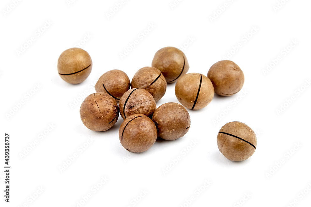 Roasted macadamia nuts in shell isolated on white background. Unshelled macadamia nuts Roasted macadamia nuts in shell isolated on white background. Unshelled macadamia nuts
