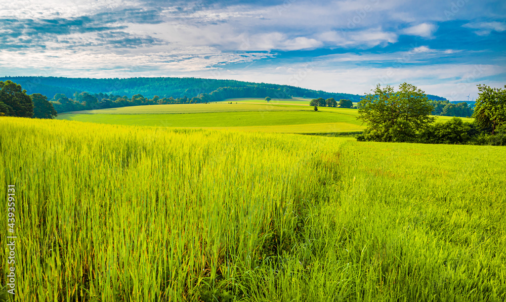 Fototapeta premium Klimaneutral -Net-Zero-2050