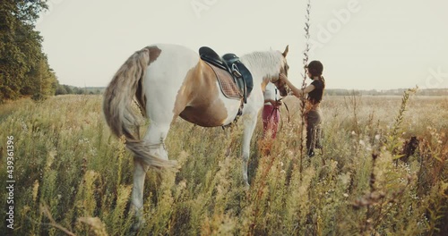 Teen age girls make preparation for horse riding, putting a bridle on horse. Cute cheerful girls look at the horse, brown horse with white pigtails, summer field background, non urban scene.
