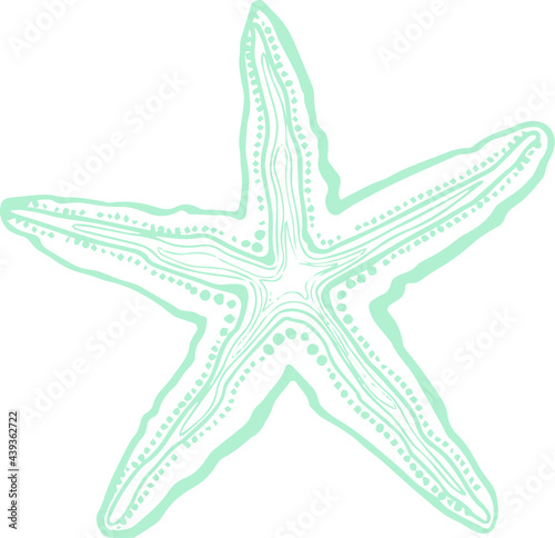 Vector art starfish in blue color doodle line art style for summer vacation