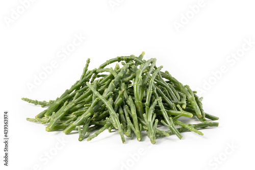 Glasswort Stalks, Bunch of Samphire Isolated on White Background – Italian Green Salicornia Harvest, Pickleweed Vegetable, Raw Organic Vegetarian Ingriedient – Detailed Close-Up Macro, High Resolution