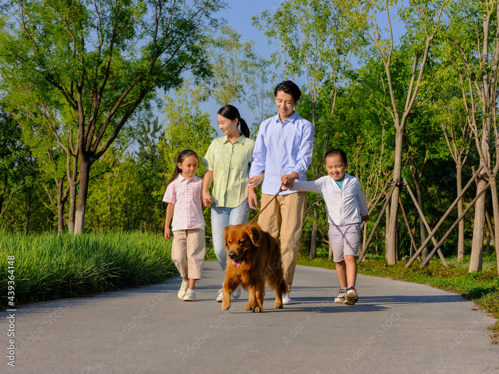 Happy family of four walking dogs in the park Happy family of four walking dogs in the park