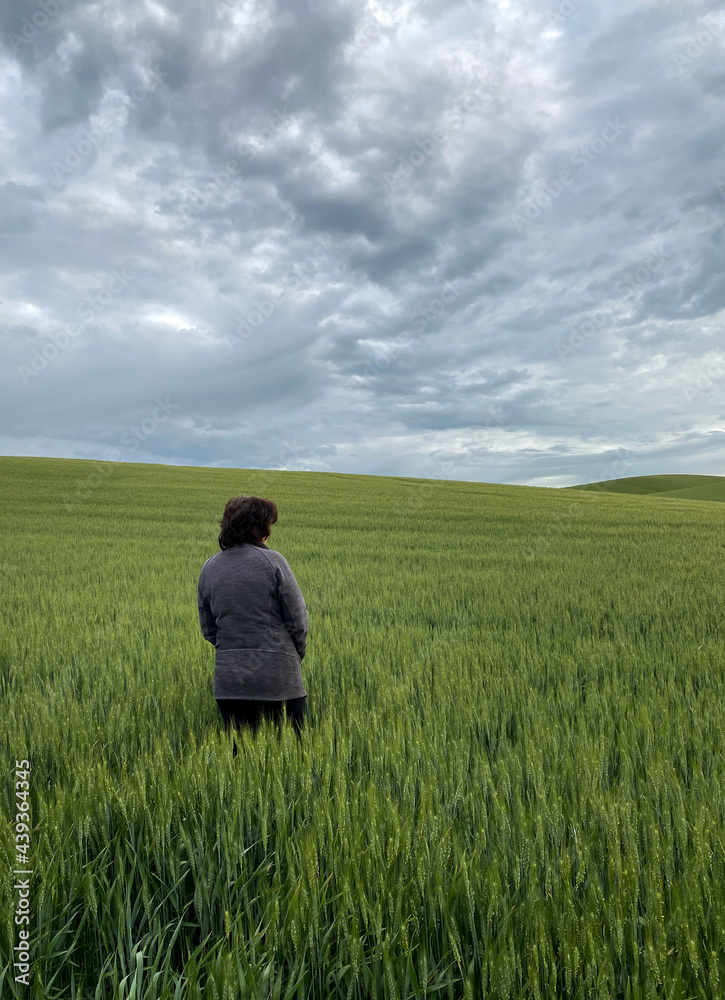 Woman standing alone looking away from camera towards expansive wheat field on a cloudy day.