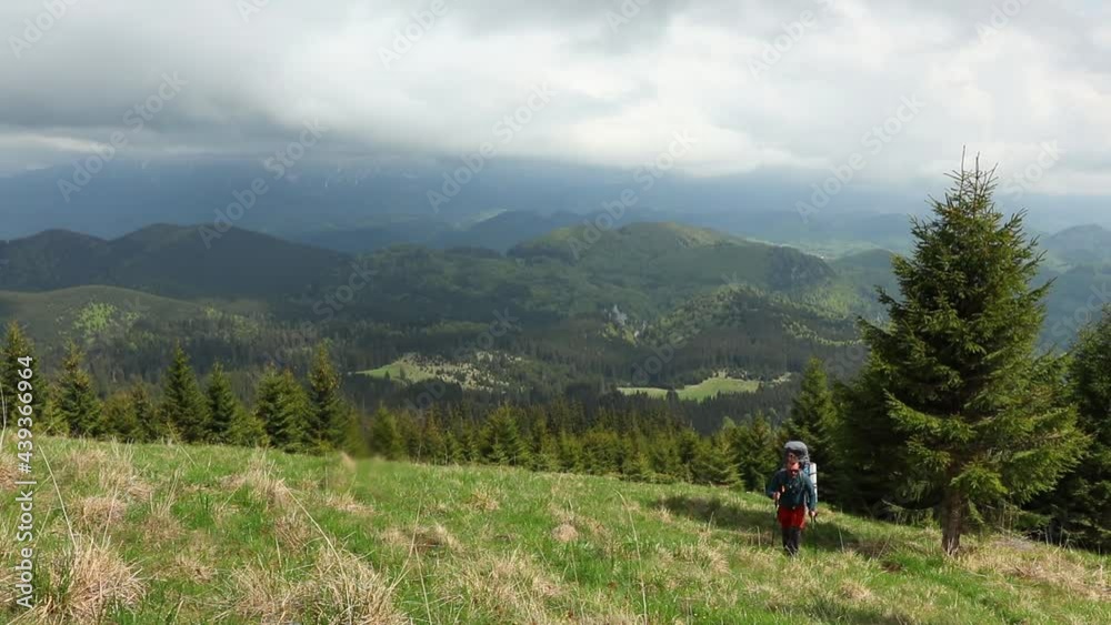 A hiker with backpack walking through the mountain glade in spring A hiker with backpack walking through the mountain glade in spring