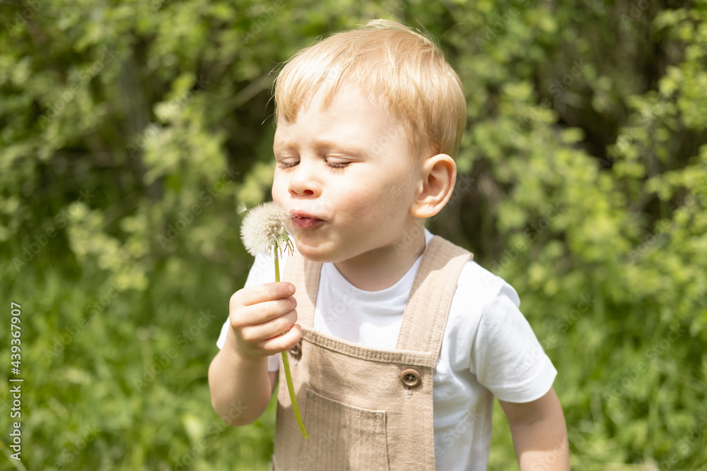 happy cute blond child boy blowing dendelion flower in green park happy cute blond child boy blowing dendelion flower in green park