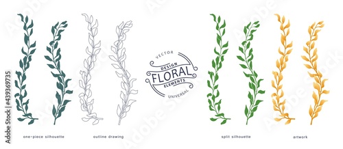 Set of floral design elements. Botanical collection of branches and leaves in various graphic styles. Vector template