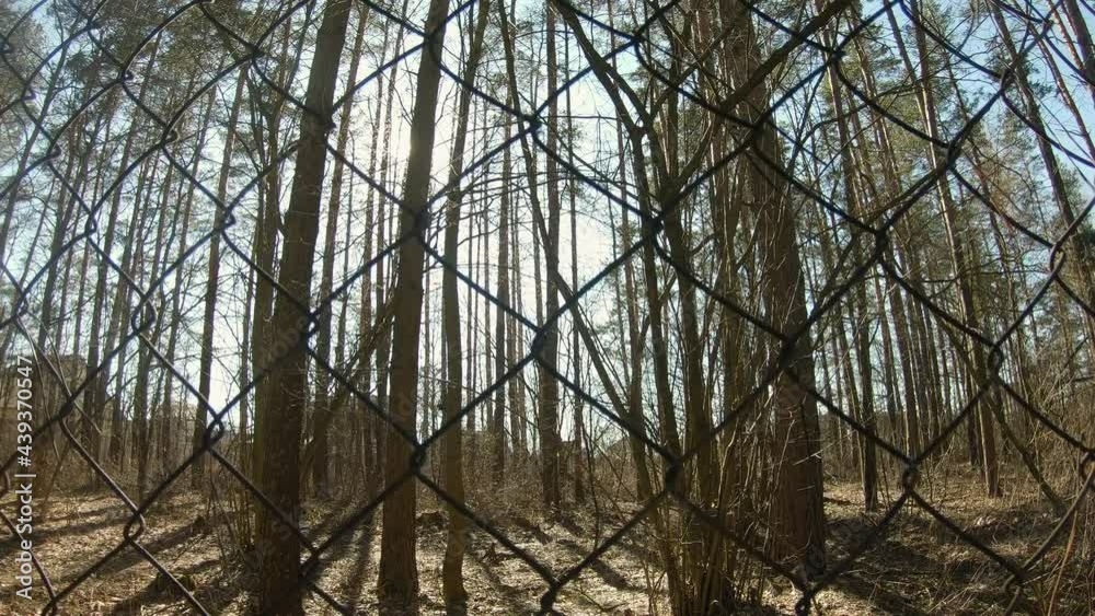 Bright rays of sunlight make their way through the mesh fence cells. Concept of deprivation and restriction of liberty. Wide-angle shot