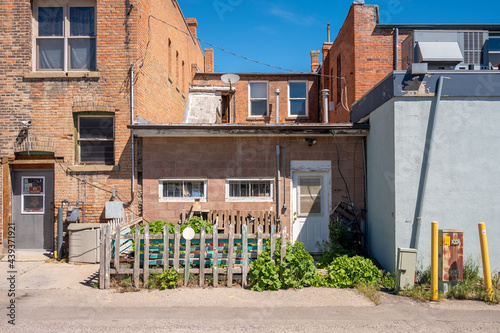 Alley way garden in commercial area.  photo