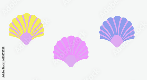 Seashells collection.Set  Vector flat cartoon illustration. Summer travel design elements  isolated on white background.Marine collection vector illustrator. Use textile knitwear paper postcards. Sea 