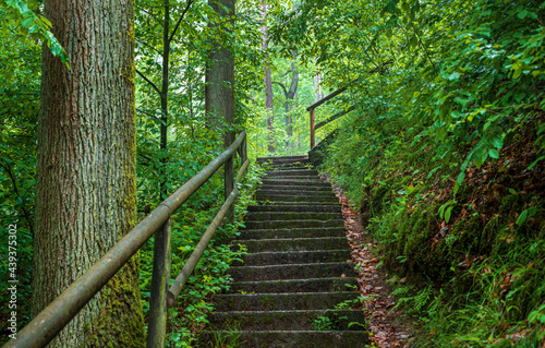 Eine Treppe mitten im Wald