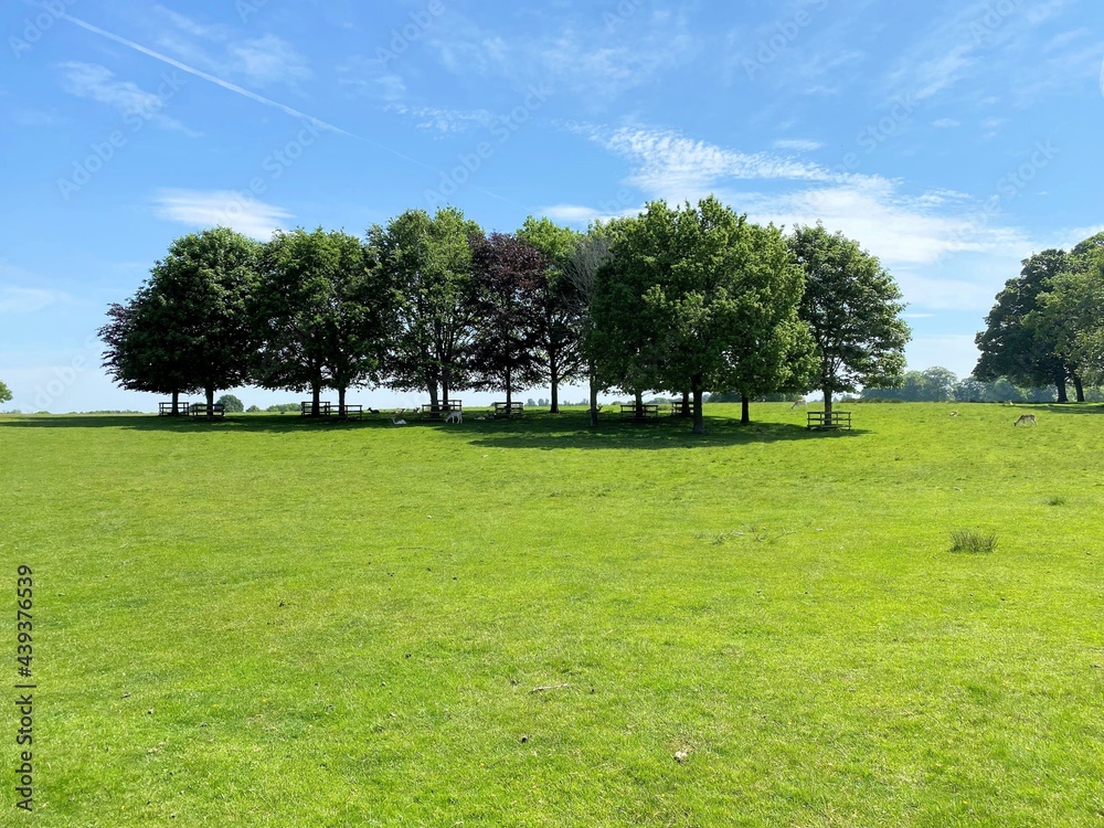 A view of the Cheshire Countryside at Tatton Park