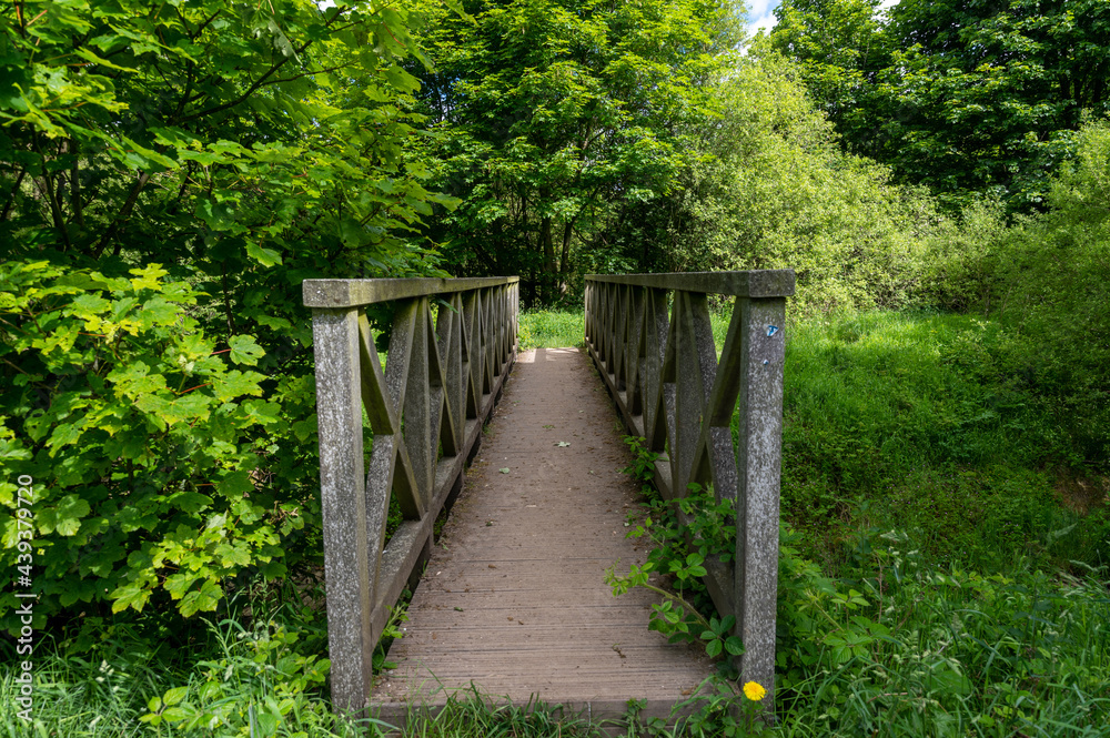 Narrow wooden footbridge crossing over a stream