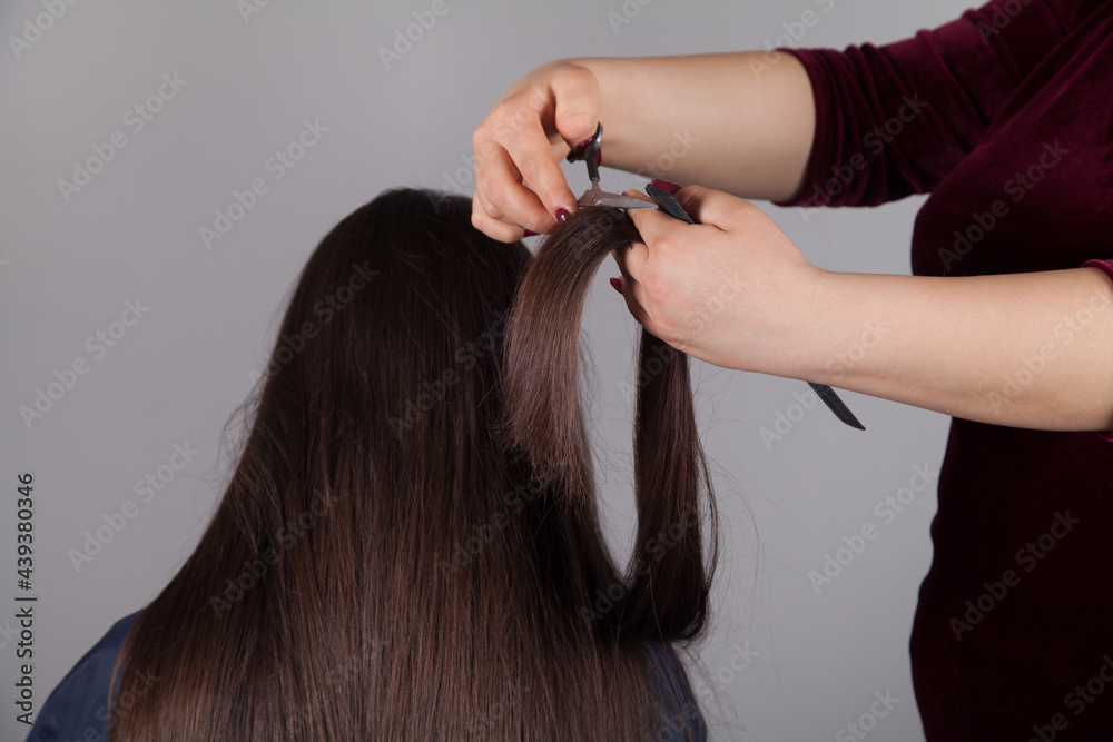 Fototapeta premium Professional Hairdresser female cutting caucasian woman's hair.