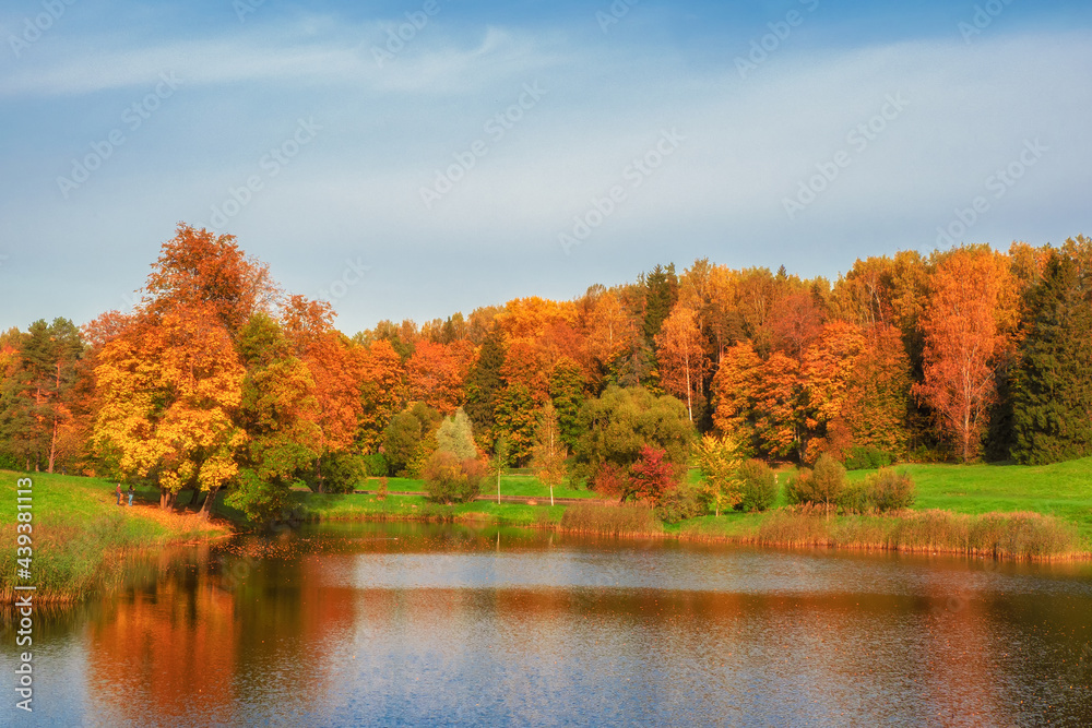 Autumn trees on the bank of the pond. Panoramic autumn landscape with red trees. Autumn trees on the bank of the pond. Panoramic autumn landscape with red trees.