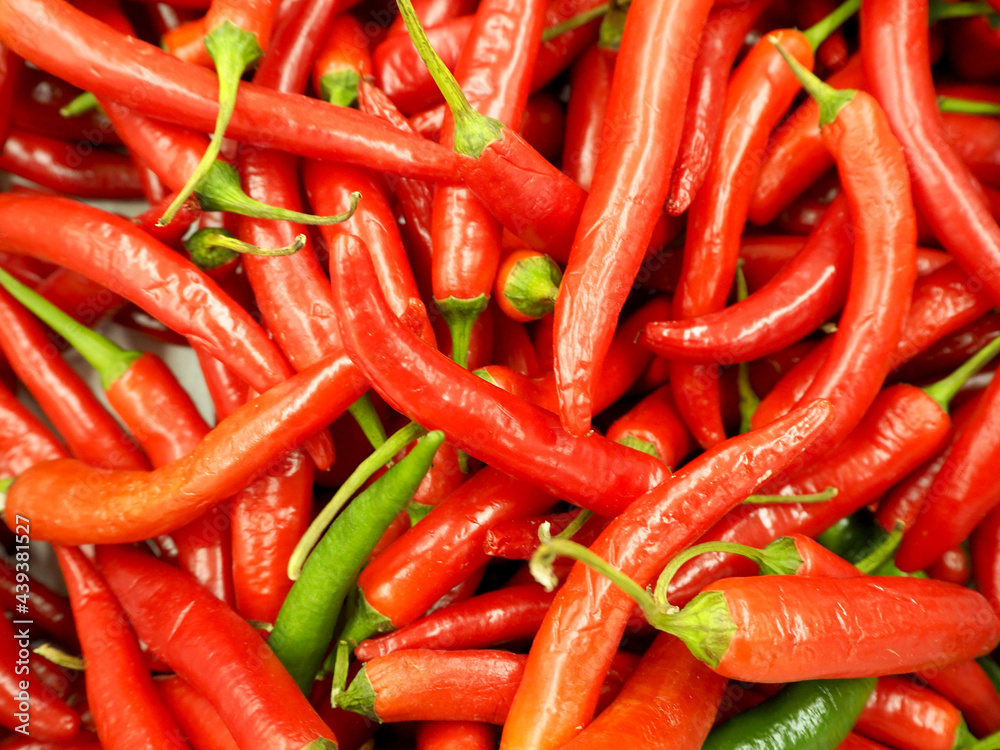 a lot of red hot chili peppers. top view. red hot vegetable