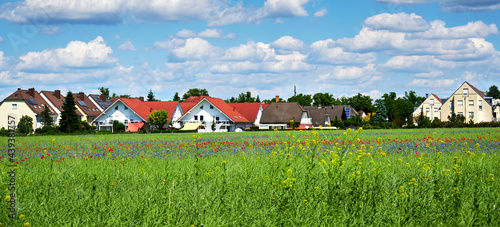 View over blooming wildflowers of poppies and cornflowers to a suburb of Berlin in Germany under a blue sky with white clouds. photo