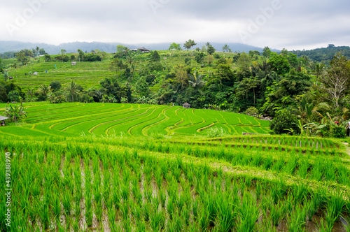 Jatiluwih rice terraces on Bali