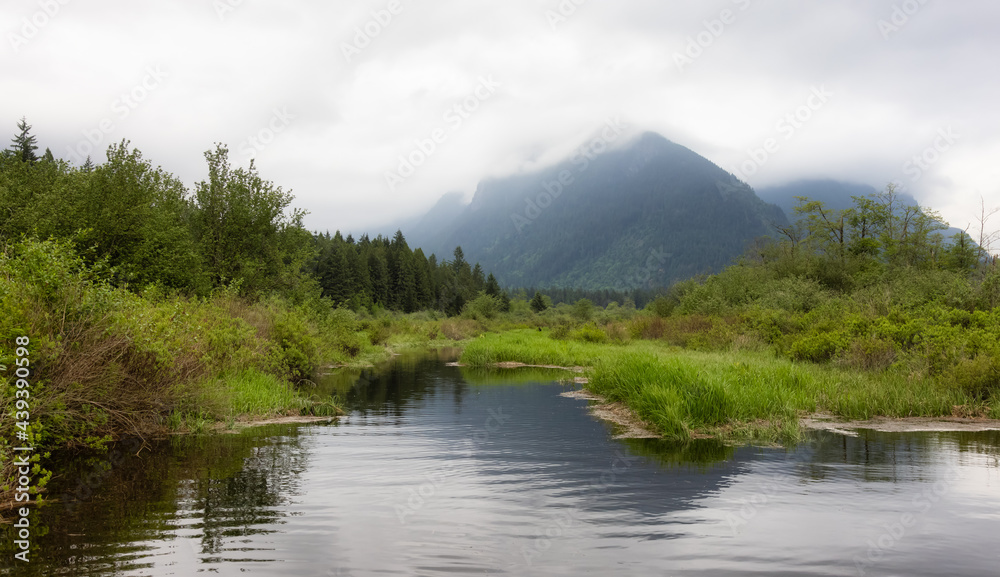 Canadian Nature Mountain Landscape. Taken in Widgeon Valley, Pitt Meadows, Vancouver, British Columbia, Canada.