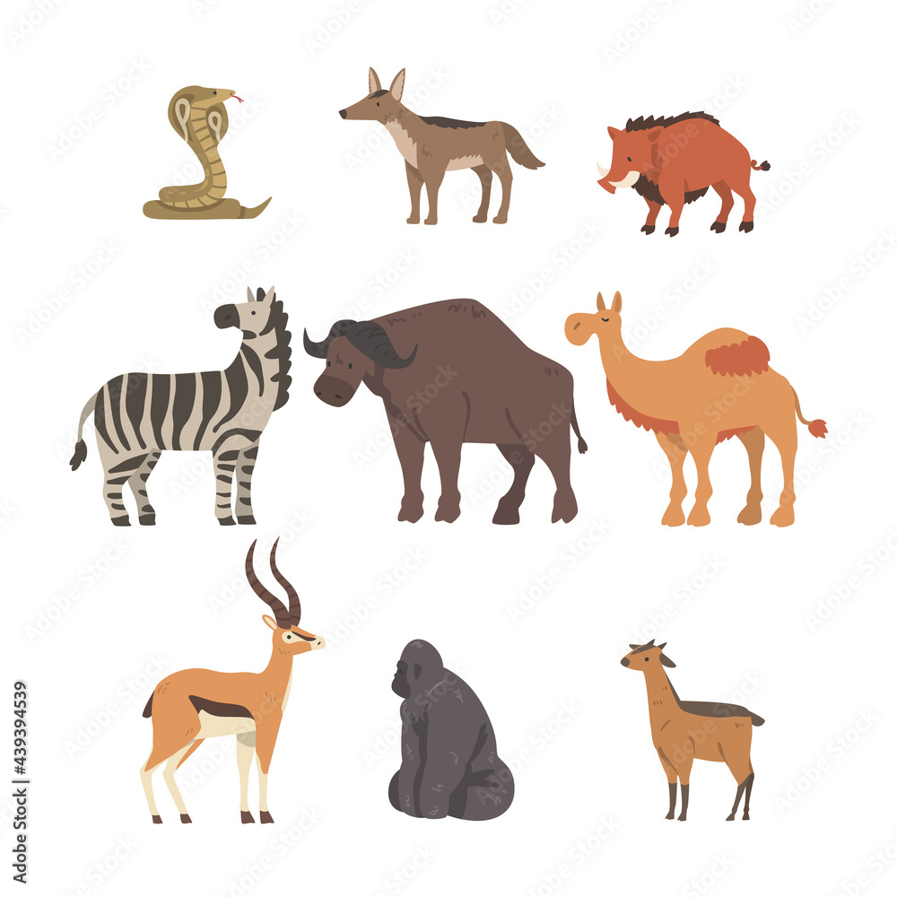 Collection of African Animal, Buffalo, Zebra, Camel, Cobra Snake, Gorilla Wild Predator and Herbivore Jungle Savannah Animals Cartoon Vector Illustration