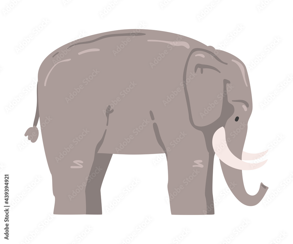 Cute Elephant African Animal, Wild Herbivore Jungle Animal Cartoon Vector Illustration