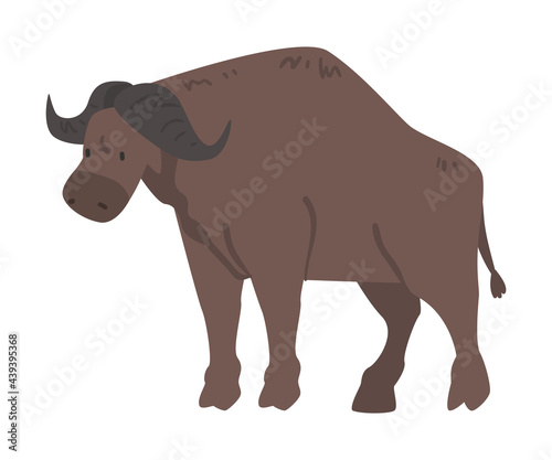 Cute Buffalo African Animal  Wild Herbivore Jungle Animal Cartoon Vector Illustration