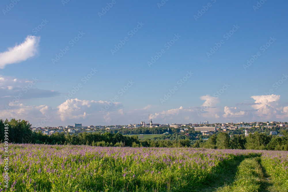 blooming field against the background of the city of Kaluga