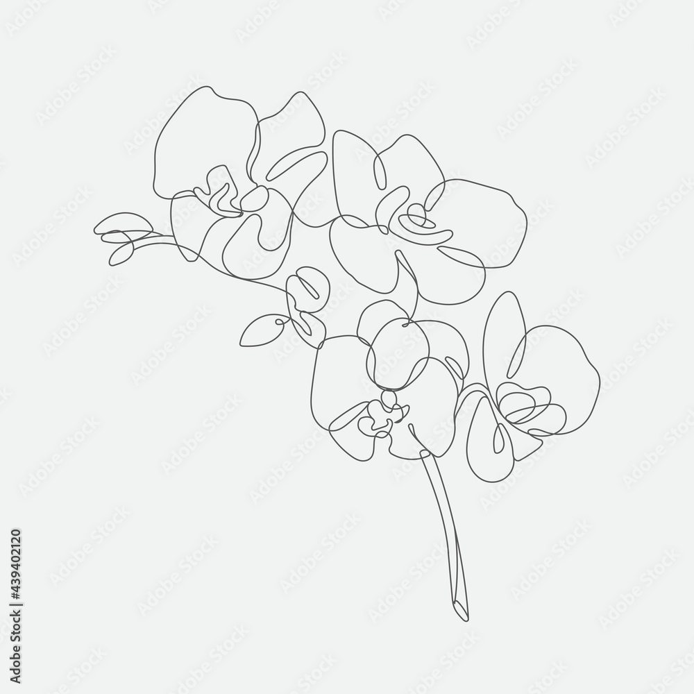 Vector Flower mono-line  illustration. Contemporary art drawing.