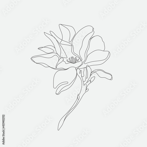 Vector Flower mono-line  illustration. Contemporary art drawing.