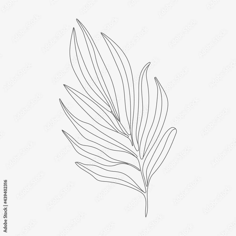Tropic leaf monoline vector illustration. Tropic leaf monoline vector illustration.