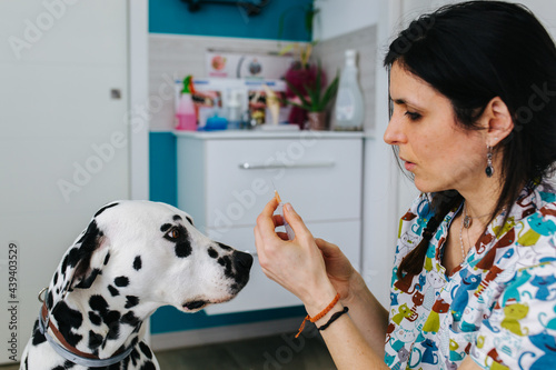 Veterinary office