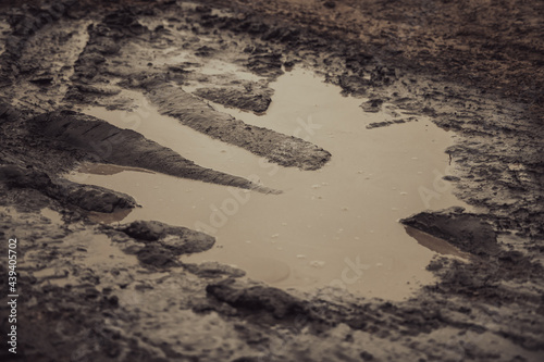 A dark and moody mud puddle