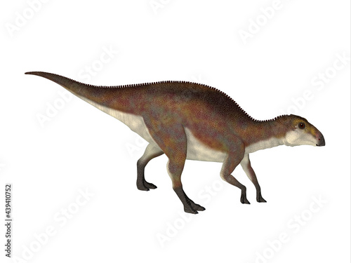 Brachylophosaurus Juvenile Walking - Brachylophosaurus was a herbivorous Hadrosaur dinosaur that lived during the Cretaceous Period of North America.
