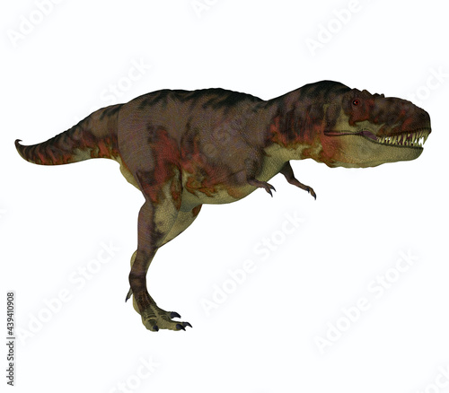 Daspletosaurus Dinosaur Hunter - Daspletosaurus was a carnivorous theropod dinosaur that lived in North America during the Cretaceous Period. © Catmando
