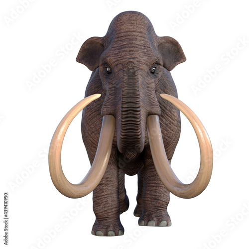 Ice Age Mammoth - During the Ice Age of North America the Columbian Mammoth was the megafauna of the continent. © Catmando