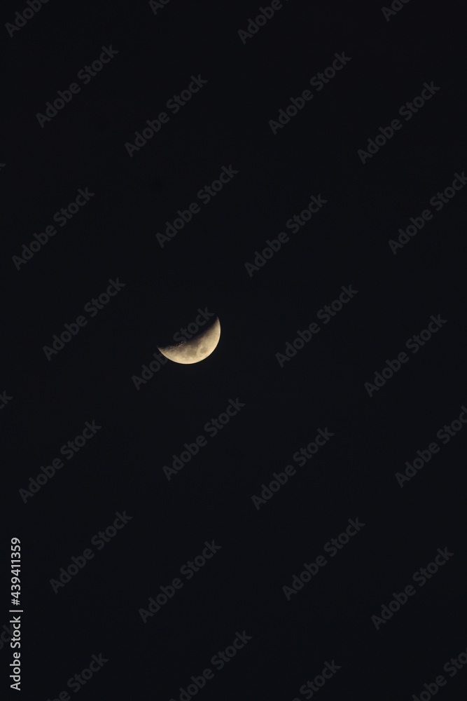 moon moon