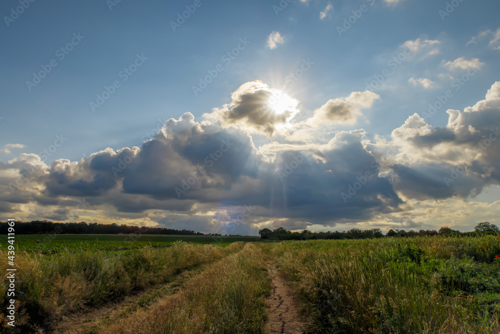 Rural day landscape with the country road and  amazing sky with clouds and sun
