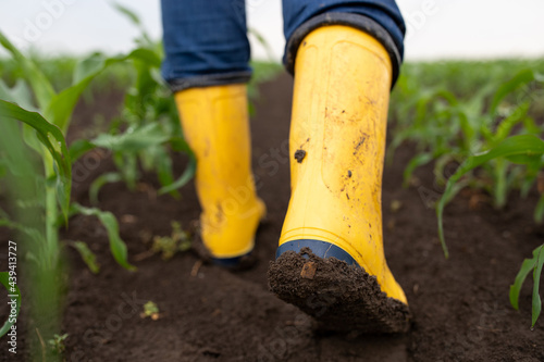 Foto Farmer with muddy gumboots walking in corn field