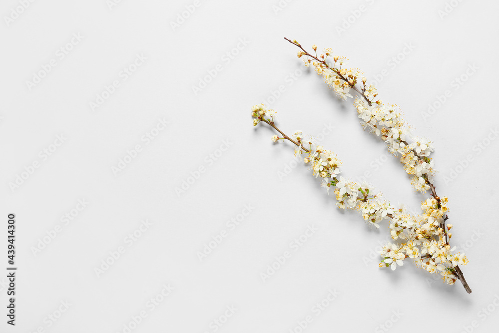 Naklejka premium Beautiful blooming branches on light background