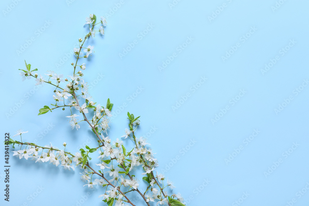 Beautiful blooming branches on color background Beautiful blooming branches on color background