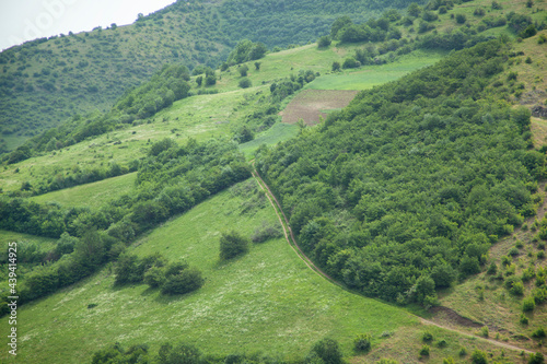 green road in mountain forest