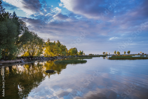 summer evening landscape lake with pine trees on the shore, Russia, June