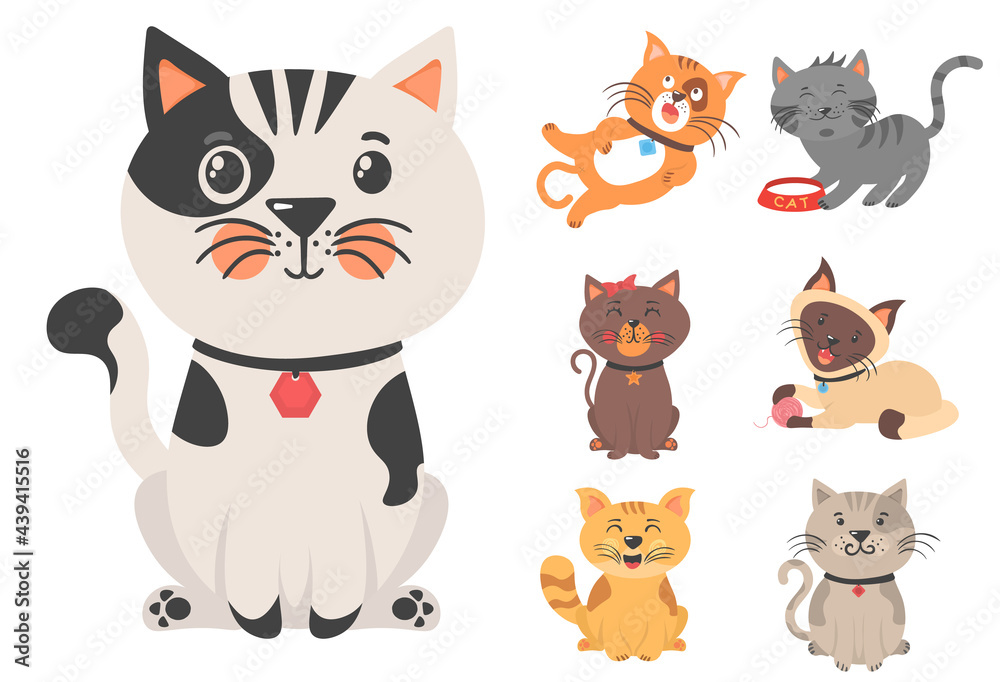 Cute amusing pets kittens and cat characters. Cute amusing pets kittens and cat characters.